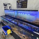 생각속의 집(원주점) 이미지