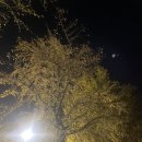 덕산초등학교 티스토리