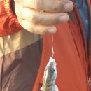 선우농장2 이미지