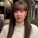 금조