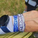 (주) 써드스테이지 | [2025 펜타포트 후기]