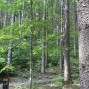 유명한캠핑장 이미지