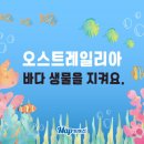 호주프렌즈 네이버블로그
