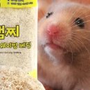 베딩프렌즈 네이버블로그