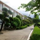 진서중학교 이미지