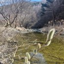 하늘아래첫동네캠핑장 | 청도 닭백숙 하늘아래 첫동네