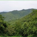팔음산마을 티스토리
