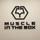 머슬 인 이미지