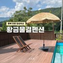 충북 단양 감성숙소 황금물결펜션 후기 (수영장, 바베큐)