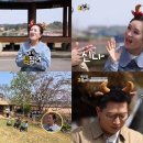 금송아지 이미지