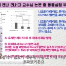 암 대사 치료에 도움이 되는 비타민B3의 유용성을 입증한 논문 보고서 이미지