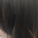 박상우헤어플래너