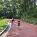 스테이 하구 이미지