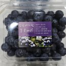 감람농장 이미지