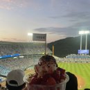 저에겐 모든 경기가 원정이었습니다 이미지