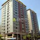 강서구-63 이미지