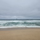 솔숲과 바다 이미지