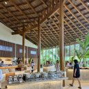 아나푸드 이미지