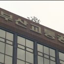 부산교통공사 해운대역 이미지
