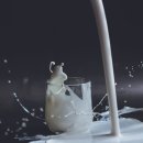 주식회사 보배식품 이미지