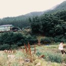 홍천강그린펜션