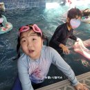 해피트리 고사포점 이미지