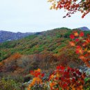 달성2차5로 이미지