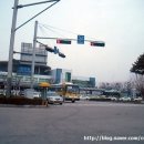 영미오리탕 이미지