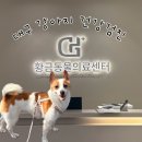 오원석 황금동물병원 | 대구 수성구동물병원,24시황금동물의료센터 강아지 건강검진