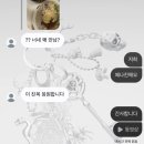 정윤뷰띠끄 | 무슨 블로그가 동숲얘기밖에 업네…..