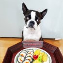 댕발란스 이미지