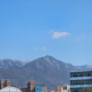 충주시 동수10길 12 | 260307 충주 당일치기, 낯선 손님 맞이하기