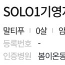 멍냥캉스 이미지