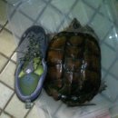 마들역(7호선) 이미지