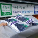 아우라 농장 이미지