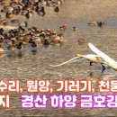 금호강7 이미지