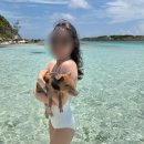 요기오면돼지 | 바하마신혼여행 돼지섬 엑수마투어 업체정보 솔직후기