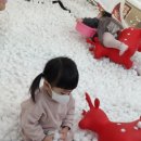 눈;꽃처럼