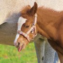 반림중학교 이미지