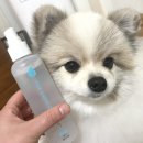 빗질해줄개 이미지