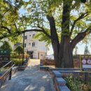 은행어린이공원 이미지