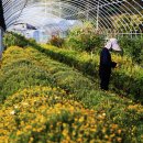 동국농장 이미지