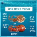 대게킹홍게킹 이미지