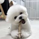 트리멍마마 이미지