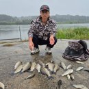 이천낚시터 이미지