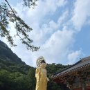 속리산 법주사 이미지