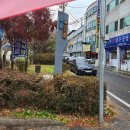 이산흑염소 | 올겨울 몸보신은 여기! 잡내 없는 대전 흑염소 맛집 왕이산흑염소 솔직후기