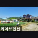 준라이브펜션