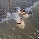 주식회사 루이글로벌투어 | 한국에 돌아온 기념 쓰는 블로그+포르투갈 라고스 여행 후기