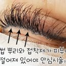 라보떼래쉬 이미지
